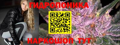 эйфоретик Ливны