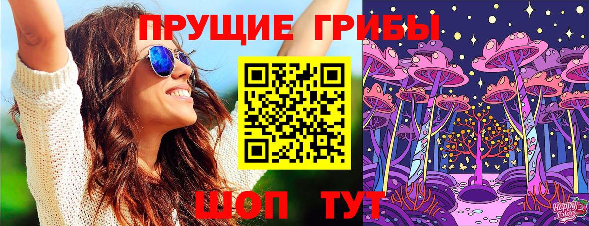 Галлюциногенные грибы Psilocybe  Псилоцибиновые грибы Magic Shrooms  где купить наркотик  Горячий Ключ 